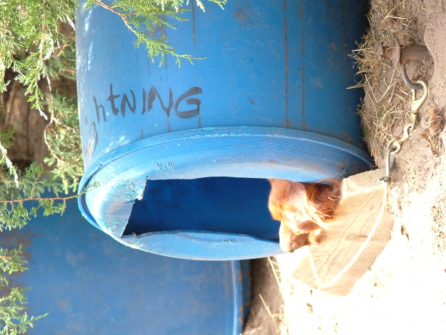 DSCF2239.JPG