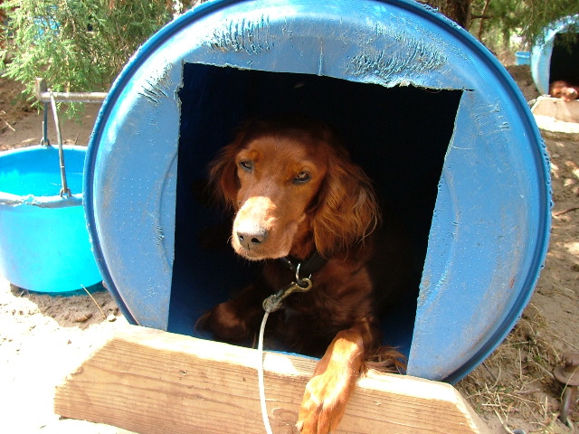 DSCF2240.JPG