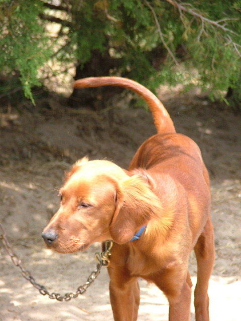 DSCF2245.JPG