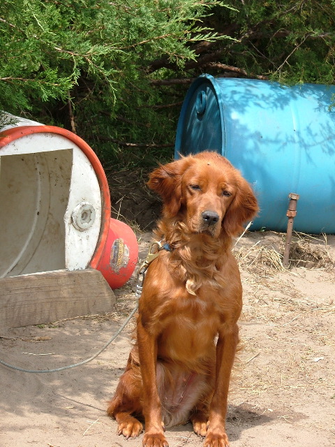 DSCF2246.JPG