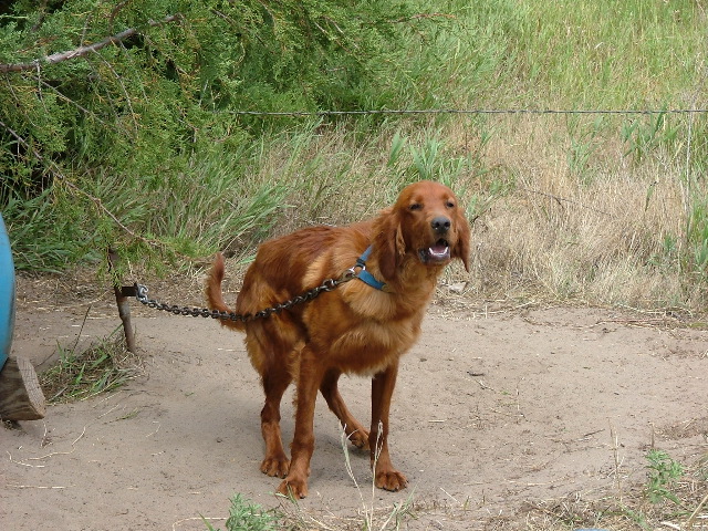 DSCF2247.JPG