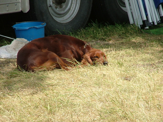 DSCF2252.JPG