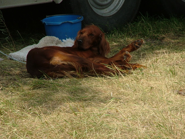 DSCF2253.JPG