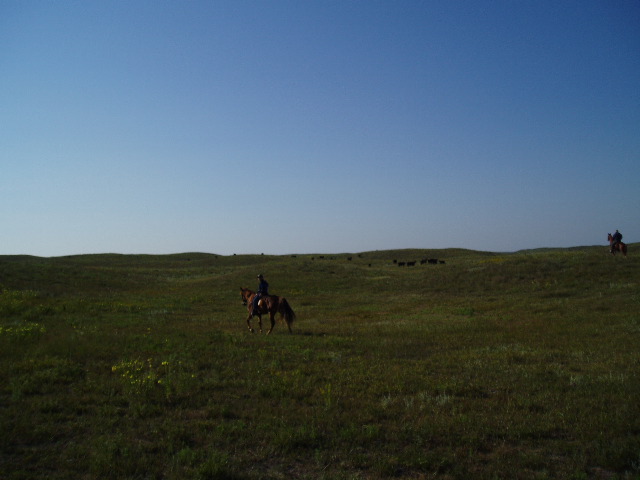 P8150210.JPG