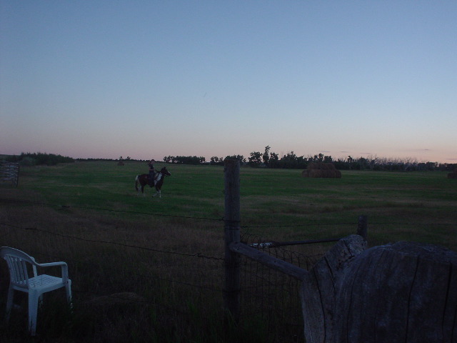 DSC01212.JPG