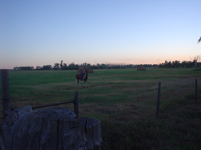 DSC01213.JPG