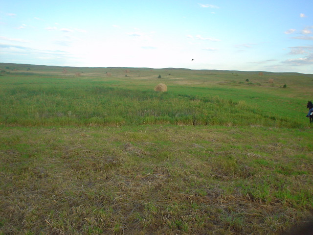 DSC01216.JPG