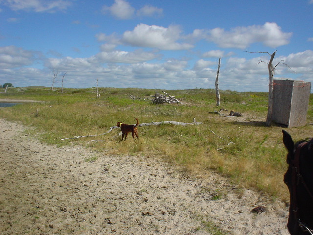 DSC01217.JPG