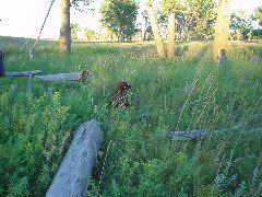 DSC01230.JPG