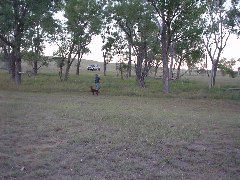 DSC01232.JPG