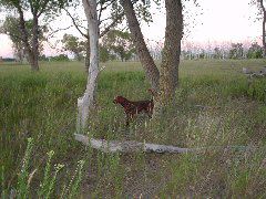 DSC01233.JPG