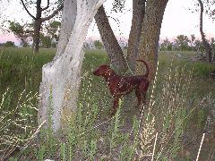DSC01235.JPG