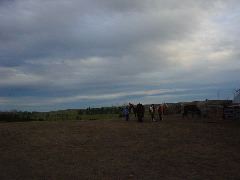 DSC01239.JPG