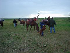 DSC01243.JPG
