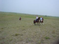 DSC01245.JPG