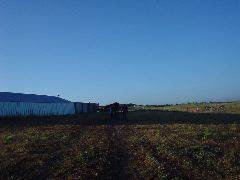 DSC01246.JPG