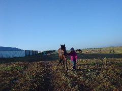 DSC01247.JPG