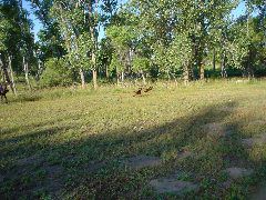 DSC01248.JPG