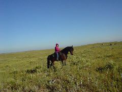 DSC01250.JPG