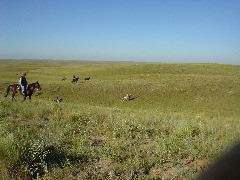 DSC01251.JPG