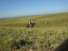 DSC01252.JPG