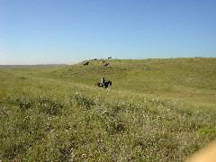 DSC01254.JPG