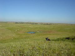 DSC01255.JPG