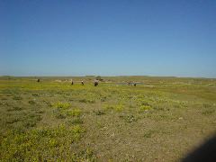 DSC01258.JPG