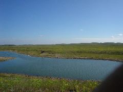 DSC01259.JPG
