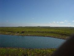 DSC01260.JPG