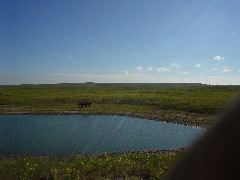 DSC01261.JPG