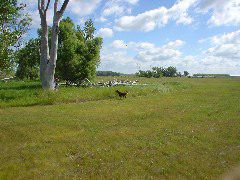 DSC01264.JPG