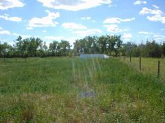 DSC01282.JPG