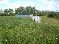 DSC01283.JPG