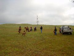 DSC01313.JPG