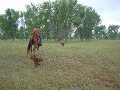 DSC01317.JPG