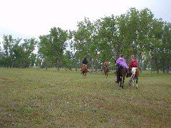 DSC01319.JPG