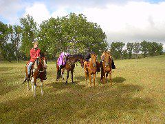 DSC01321.JPG