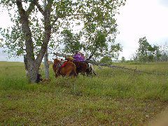 DSC01322.JPG