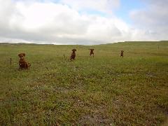 DSC01324.JPG