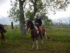 DSC01325.JPG