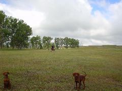 DSC01326.JPG