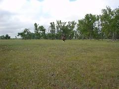 DSC01327.JPG