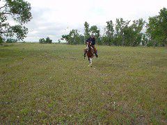 DSC01328.JPG