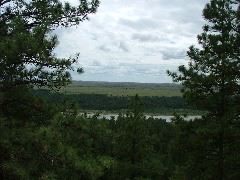DSCF2214.JPG