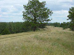 DSCF2216.JPG