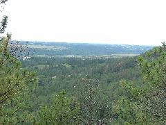 DSCF2219.JPG
