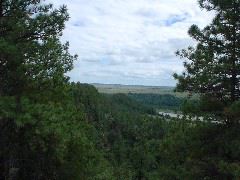 DSC01330.JPG