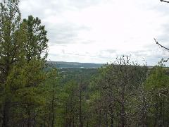 DSC01331.JPG