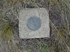 DSC01332.JPG